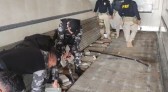 Polícia apreende 179,1 kg de cloridrato de cocaína e 299 frascos de maconha líquida em fundo falso de caminhão no PR