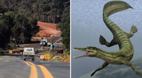 Obra de asfalto é paralisada em rodovia do Paraná devido a fósseis de animais mais antigos que dinossauros