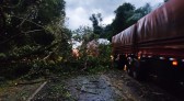 Sudoeste tem chuva de granizo e queda de árvores na pista; áreas estão sob alerta meteorológico