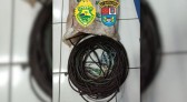 Homens são presos suspeitos de furto no interior de Marmeleiro