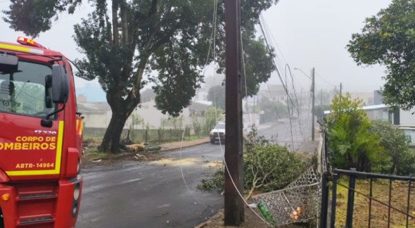 Queda de árvore afeta atendimento na Unidade de Saúde da Cango