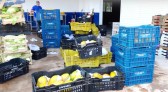 Banco de Alimentos do Paraná é destaque no combate ao desperdício