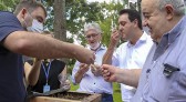 Governo lança projeto para colmeias de abelhas nativas sem ferrão em parques