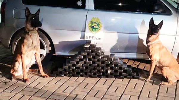 BPFRON apreende 54kg de maconha e prende jovem de 23 anos em Barracão