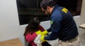 PRF faz parto de emergência dentro de carro em estrada no Paraná