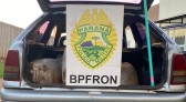 BPFRON apreende veículo carregado com combustível em Santo Antônio do Sudoeste