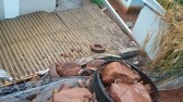 Fortes chuvas provocam deslizamento de terra e atinge residência
