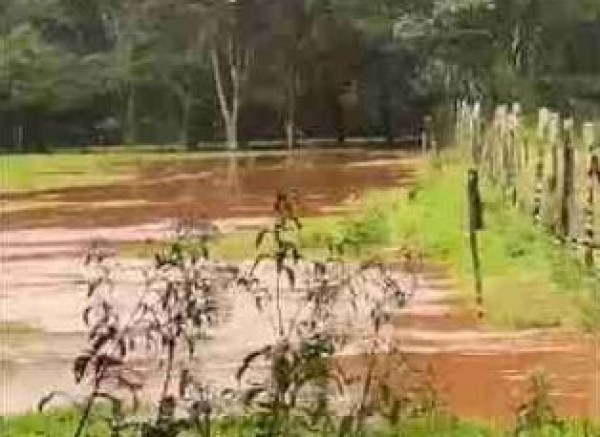 Temporal causa alagamentos em estradas, no Paraná