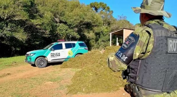Agricultor é multado e responderá por crime ambiental após arrancar musgo em área protegida no Paraná