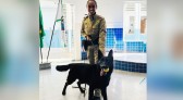 Polícia Militar realiza demonstração com cães em escola