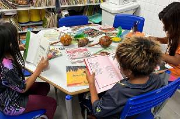 Paraná é o estado com o maior número de escolas com bibliotecas