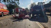 Mulher que fez criança se despedir do pai via vídeo tem prisão solicitada após bater carro contra caminhão