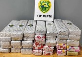 Polícia apreende 26 kg de maconha em mala com graxa em ônibus e prende suspeito