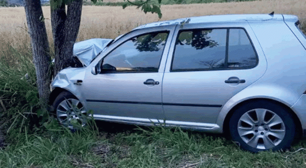 Mulher fica ferida após carro colidir contra árvore na PR-481