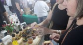 Agroindústria familiar paranaense será homenageada no Prêmio Orgulho da Terra 2023