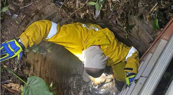 Bombeiros resgatam cachorro que caiu em poço de quatro metros