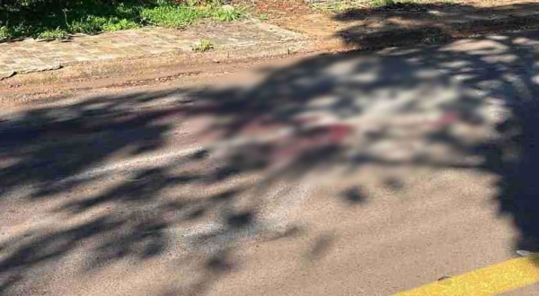 Homem atira em pitbull após ser atacado na rua em Cascavel