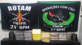 Mais de 30kg de drogas são apreendidas pela ROTAM