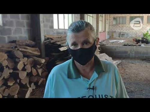 Casal de urubus escolhe capela de Francisco Beltrão para chocar ovos